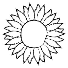 beautiful flower decorative icon vector illustration design