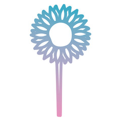 beautiful flower decorative icon vector illustration design
