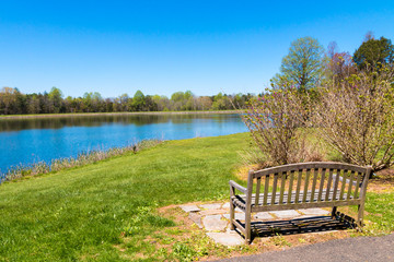 Bench near the bautiful lake with forest reflection on sunny spring day.