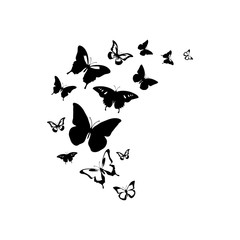 Butterflies flying vector icon