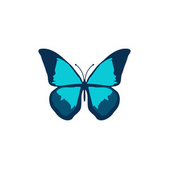 Fototapeta na wymiar Butterflies vector icon
