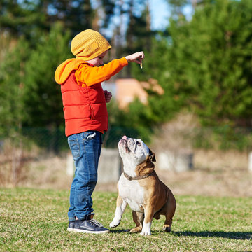 Caucasian boy playing with English bulldog outdoor.