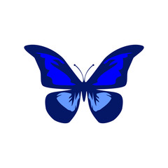 Butterflies vector icon