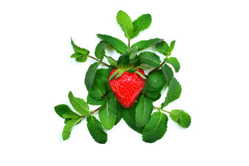 Evil strawberry in a sprig of mint isolated