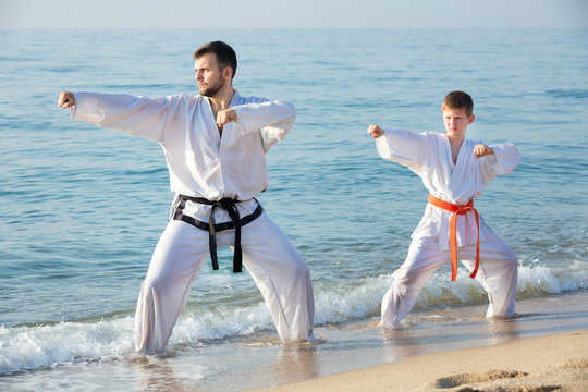 Teacher and boy doing karate poses