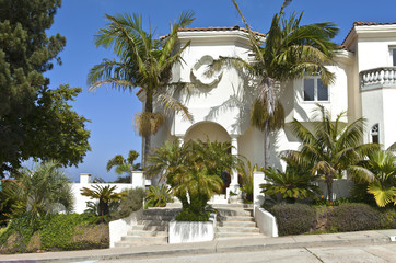 Obraz premium Large house with palm trees;