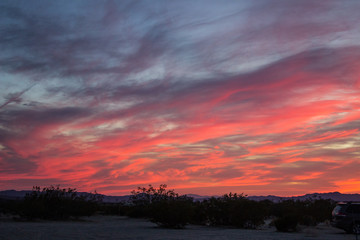 Obraz na płótnie Canvas Desert Sand Dunes and Cactus Landscape at Sunset and Sunrise