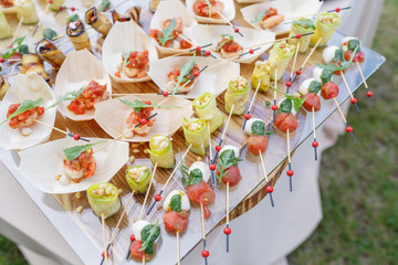 Tasty buffet table. Summer party outdoor. Catering concept