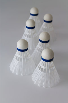 volleyball batminton sport summer vacation two white blue