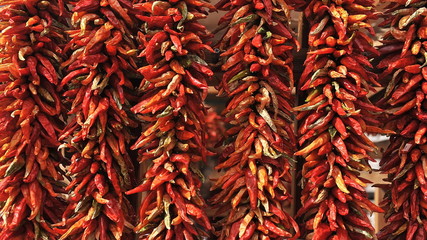 Fototapeta premium shop window with bitter red pepper