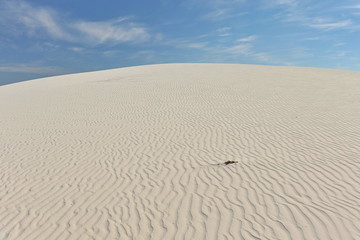 Fototapeta na wymiar The desert covered a layer of white sand