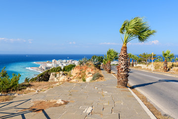 Naklejka premium Tropical palm trees on beautiful Rhodes island. Greece