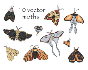 Set of vector moths on white isolated background