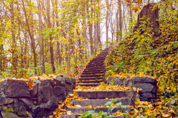 Stone steps strewn with yellow autumn leaves
