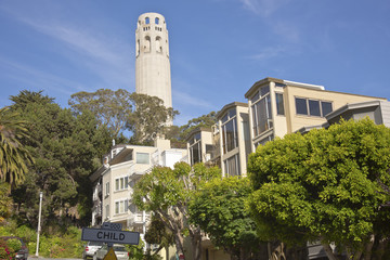 San Francisco Coit tower residential neighborhood California.