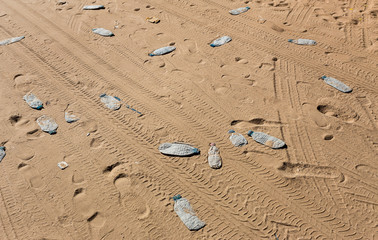 Litter on beach