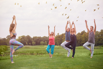 Group yoga exercise outdoor. Flock of flying birds above park lawn.