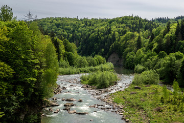 Fototapeta na wymiar Aerial view of mountain river in summer.