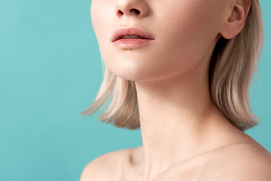 Close up of woman face and neck. Her pelt is groomed and without wrinkles. Copy space in left side. Isolated on blue background