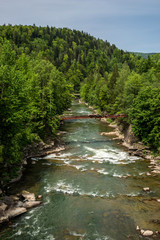 Fototapeta na wymiar Aerial view of mountain river in summer.