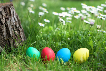 Four Easter colorful eggs in a row