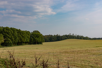 Obraz premium Rolling Fields