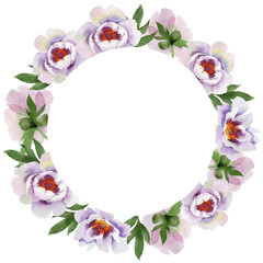 Gently pink peonies. Floral botanical flower.Frame border ornament square. Aquarelle wildflower for background, texture, wrapper pattern, frame or border.