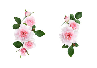 Set of pink rose flowers and leaves arrangements