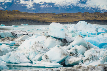 Birds on iceberg, Jokulsarlon Glacier Lagoon Lake, Iceland