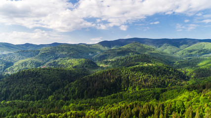 Naklejka na ściany i meble Aerial view of beautiful Carpathian mountains in summer.
