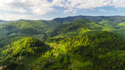 Aerial view of beautiful Carpathian mountains in summer.
