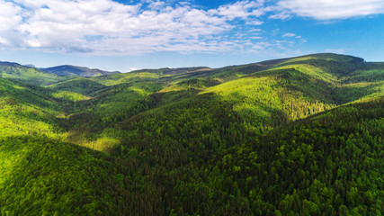 Aerial view of beautiful Carpathian mountains in summer.