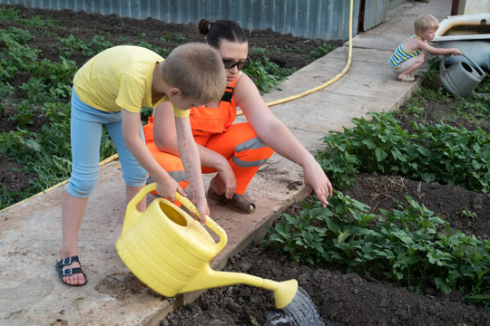 Happy peasant boy in bright T-shirt spraying plants from yellow watering can. Children help the mother to work on her home plot. Warm earth, soil, watering works. There is space for text