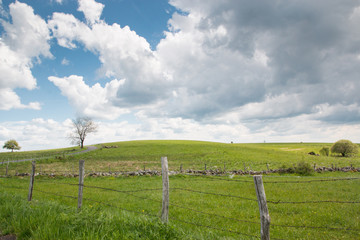 Fototapeta premium Paysage dans le Cantal