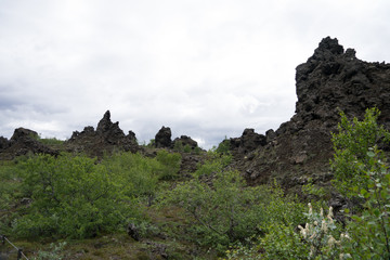 Landschaft bei Dimmuborgir am Mývatn-See / Nord-Island