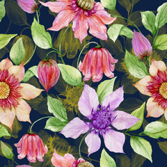 Beautiful clematis flowers on climbing twigs against dark blue background. Seamless floral pattern. Watercolor painting. Hand painted illustration.