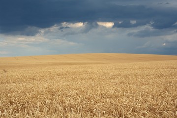 Landscape near Straznice, eastern Moravia, Czech republic, Europe
