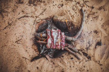 raw meet pork ribs lie on branches on a fire in the sand and are roasted on fire as wild barbecue