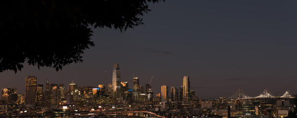 San Francisco Bay Bridge night skyline