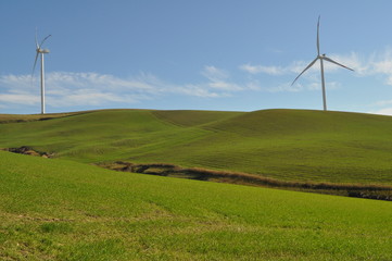 Pale Eoliche
