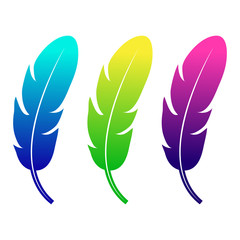 Colorful feather icons. Vector illustration