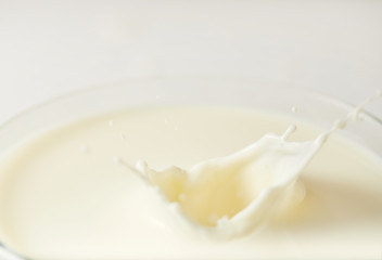 Naklejka na ściany i meble closeup view of milk splashes isolated on white background