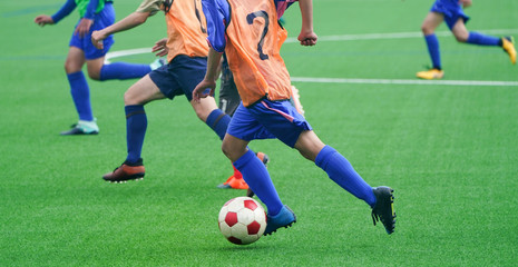 Fototapeta premium サッカー フットボール