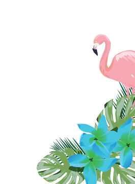 Vector Flamingo and Flowers