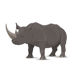 Obraz premium Rhinoceros vector wild animal isolated icon