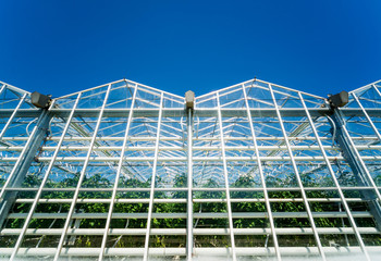 Modern glass greenhouses against the blue sky.