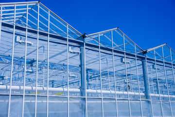 Fototapeta na wymiar Modern glass greenhouses against the blue sky.
