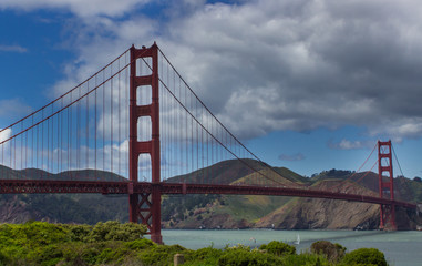 Golden Gate Bridge San Francisco with Wildflowers