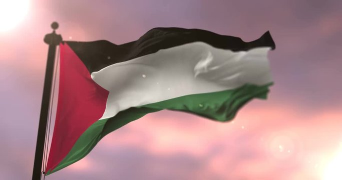 Flag of Palestine waving at wind at sunset in slow, loop