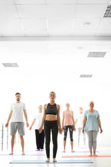 Fototapeta premium Group of people in sportswear practicing yoga indoors